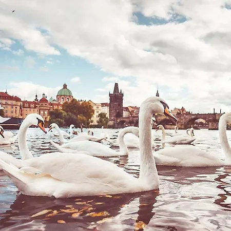 Apartment Quiet With Balcony Charles Bridge Prag